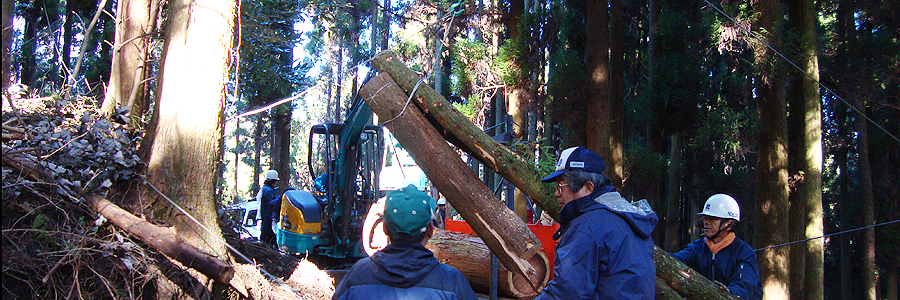 森林バイオマス活用（土佐の森方式による伐倒・間伐・運搬の実習）の写真